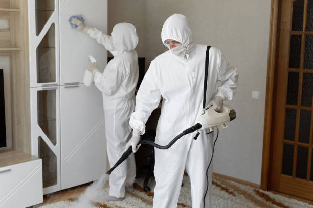 Mold Removal Process in Verona, WI