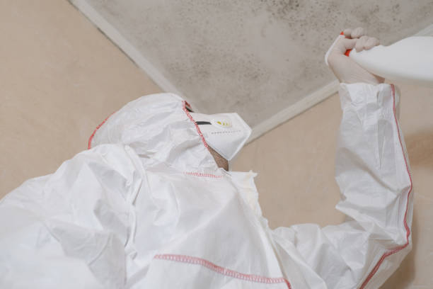 Best Professional Mold Removal  in Verona, WI