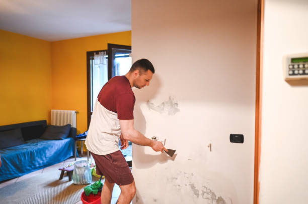 Best Mold Removal Specialists  in Verona, WI